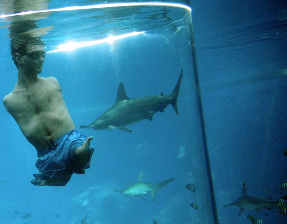 życie bez ograniczeń 2